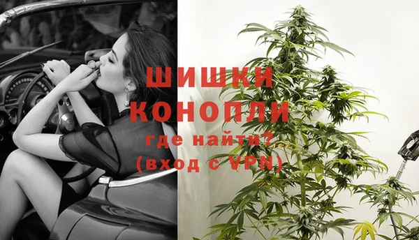 спиды Бикин