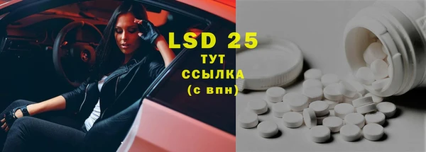 крисы Абаза