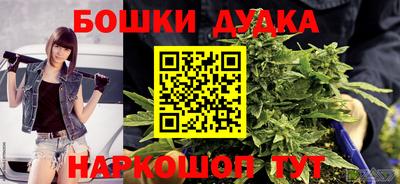 мяу мяу мука Новодвинск