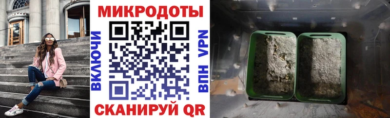 где продают   Рославль  Псилоцибиновые грибы Cubensis 