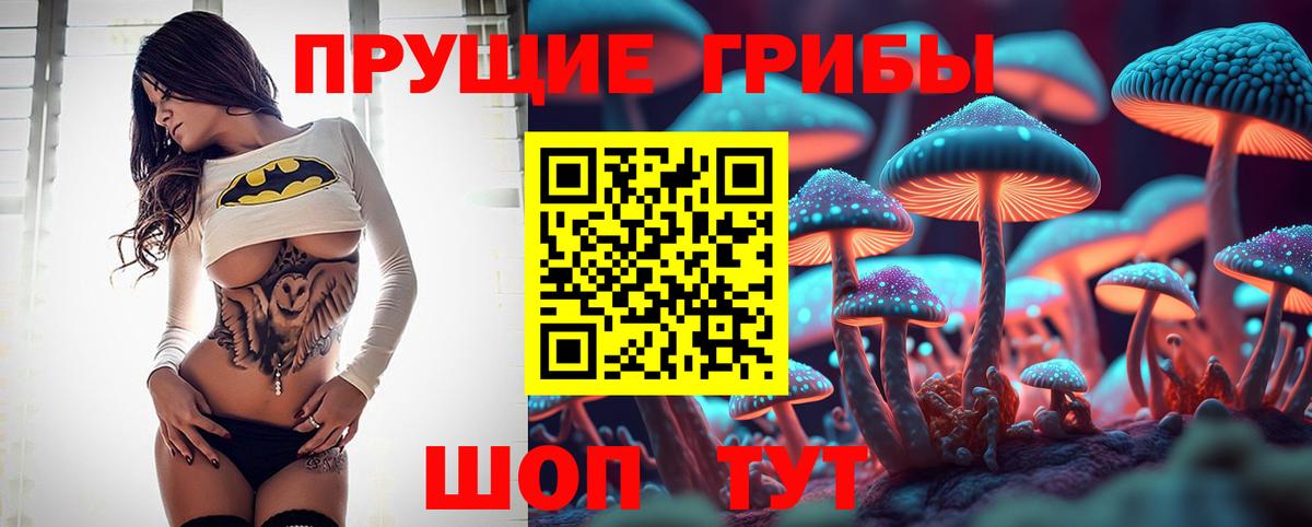 Псилоцибиновые грибы прущие грибы  Вход с VPN  Псилоцибиновые грибы мухоморы  Рославль 