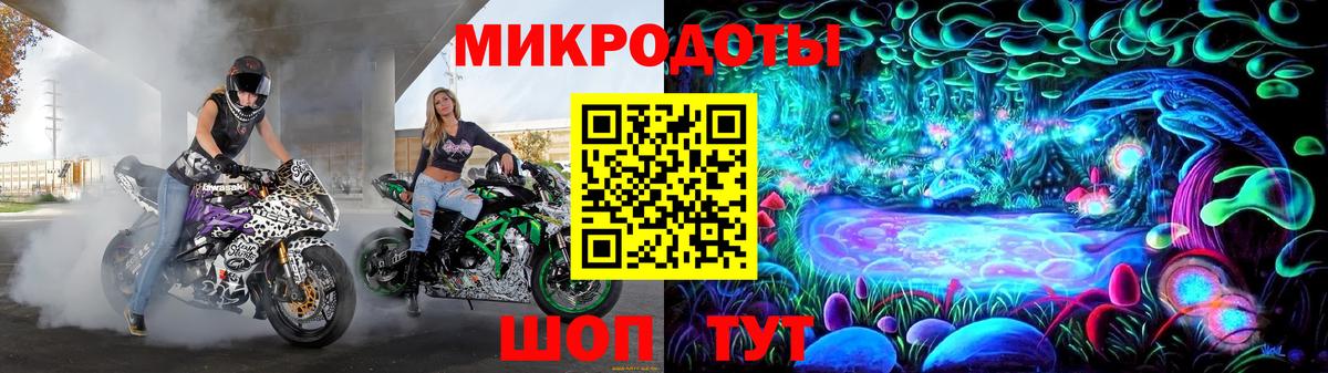Псилоцибиновые грибы GOLDEN TEACHER Рославль